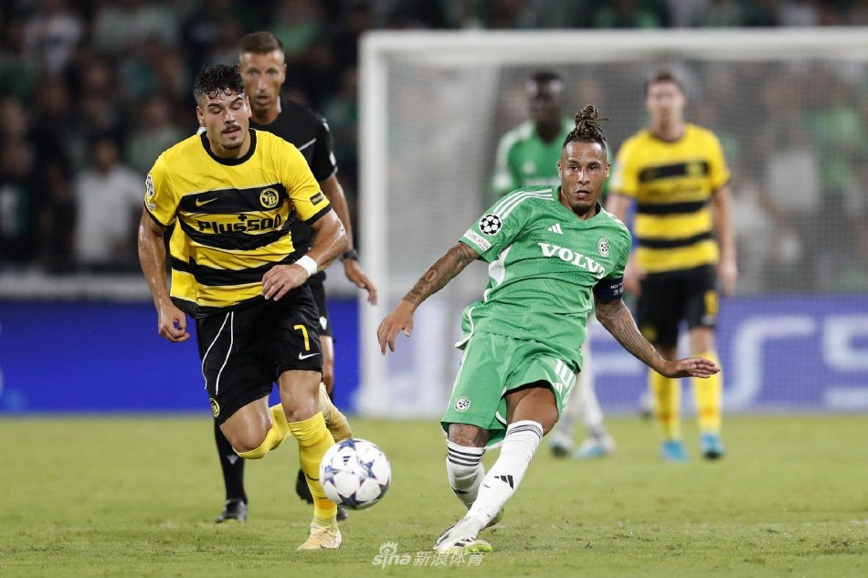 决定性作用 决定性作用